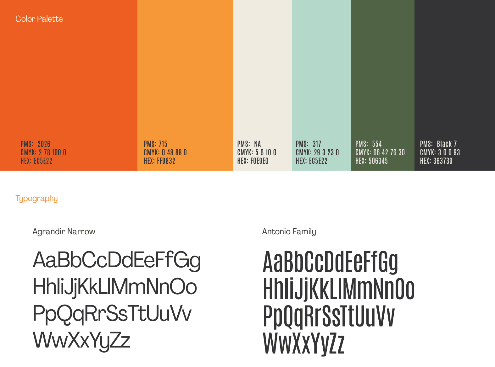brand color pallete and typography